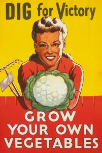 Dig For Victory - Grow You Own Vegetables