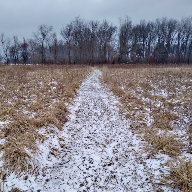 Blackbird Farms photo 4